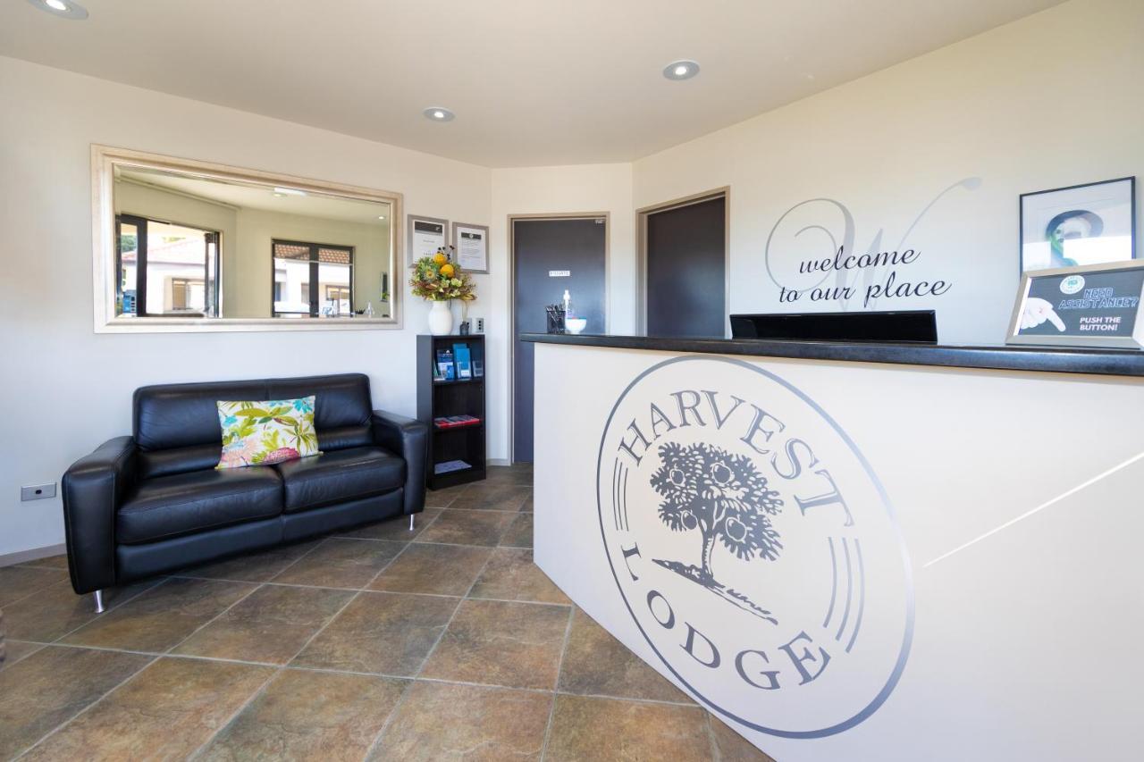 Harvest Lodge Motel Havelock North Dış mekan fotoğraf